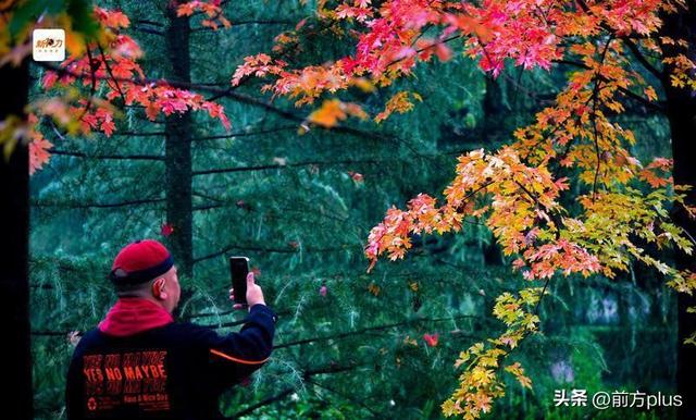 古城与秋叶的交响