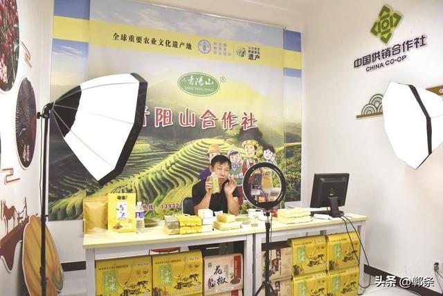 涉县“一品一播”让太行好物飞进万家