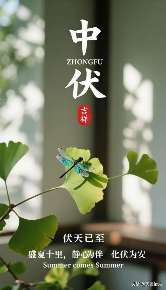 中伏安康！愿你在热浪里，藏得住清凉，守得住欢喜
