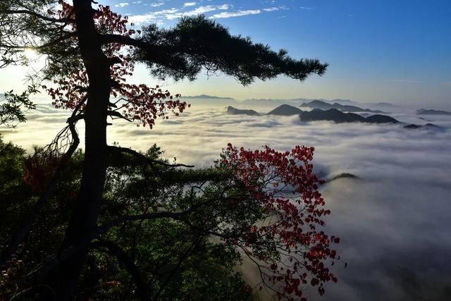 广元不远 周末优选 | 4条旅游路线，带你全方位打卡曾家山