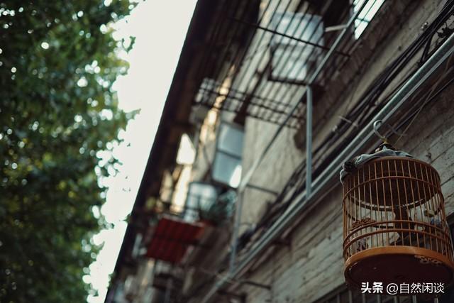 南昌一居民楼发出奇怪恶臭，有人怀疑是尸臭，排查结果让人意外