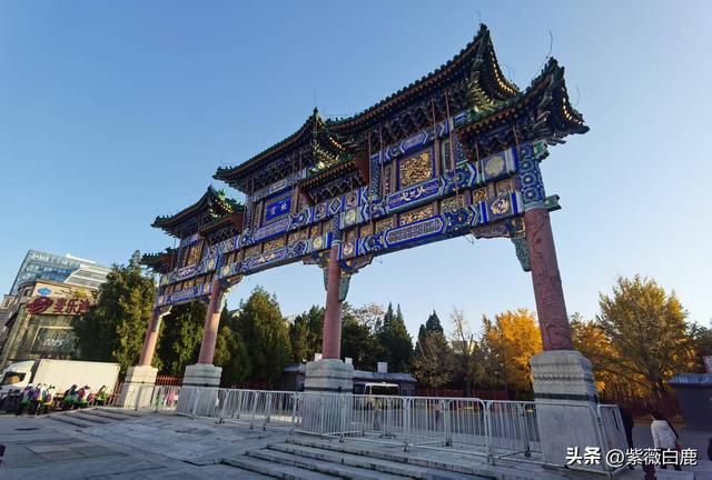 这个秋天，我在地坛