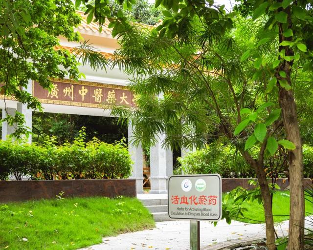 “在广州别只知道去省博，这些才是真香！”