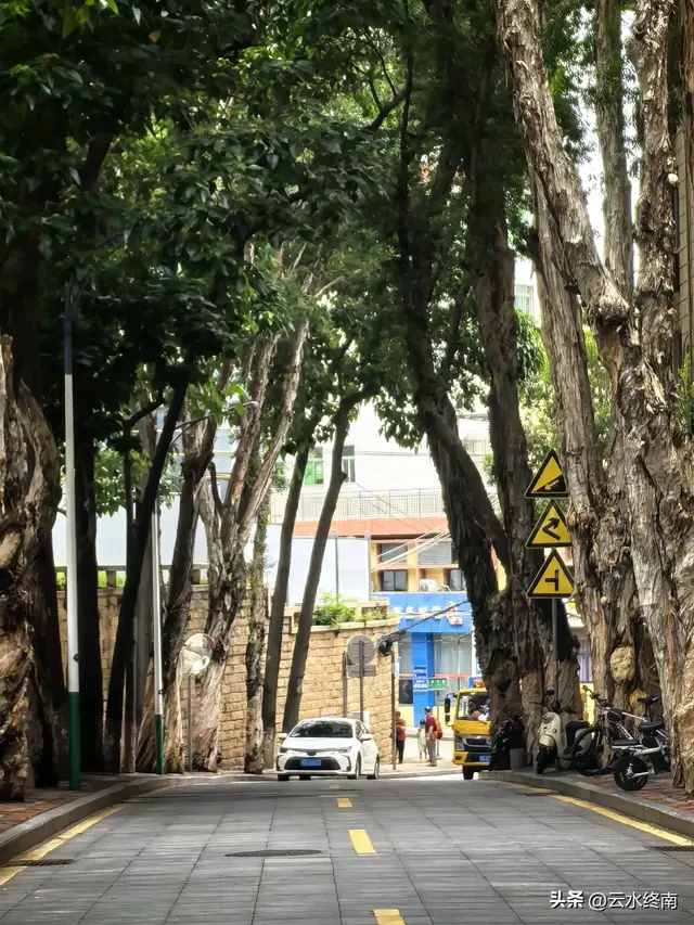 我看到以国家的名义纪念一个人！在一个从小学中学上到大学的村子