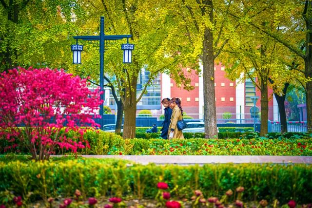 看东城，一路繁花，四季幻彩！