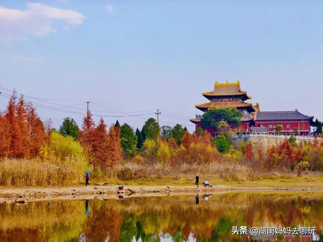 公交直达冬日限定“小东非”，带娃解锁长沙safari隐藏玩法！