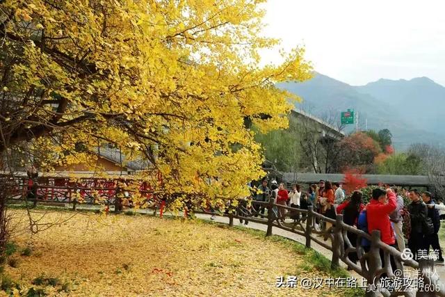 超出片!快来这里捕捉汉中秋色!