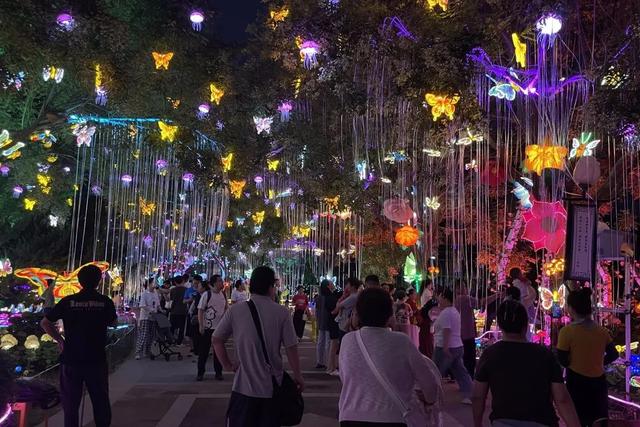 京城夏夜新顶流！蘑幻夜花园嗨翻啦