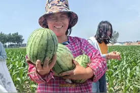 乡村振兴路上的她力量———记前郭县海勃日戈镇巾帼英豪刘淑凤图片