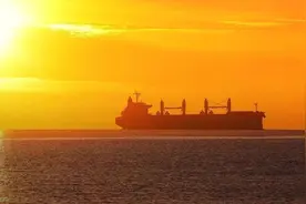 为什么是TCL？图片