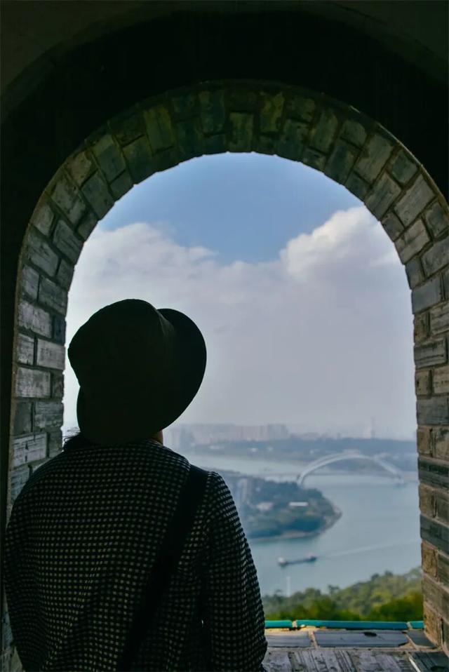 一半是安逸养老，一半是熬夜天堂！这座城冬天有鲜花，凌晨有人潮