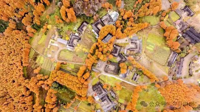 漫山彩林，琉璃坝的色彩美学