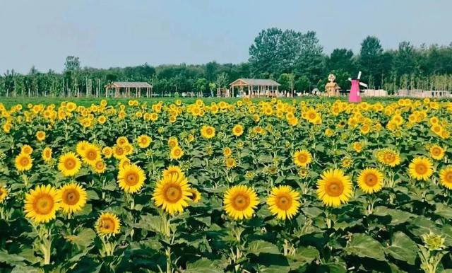 襄城新晋遛娃宝地，围炉煮茶＋采摘，现有套餐免费赠送