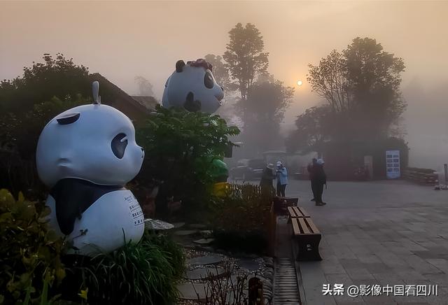 四川雅安：碧峰峡风光旖旎引客来