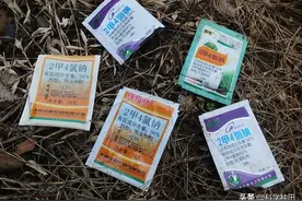 滴酸草甘膦和二甲草甘膦为什么除草效果不同？原因大揭秘图片