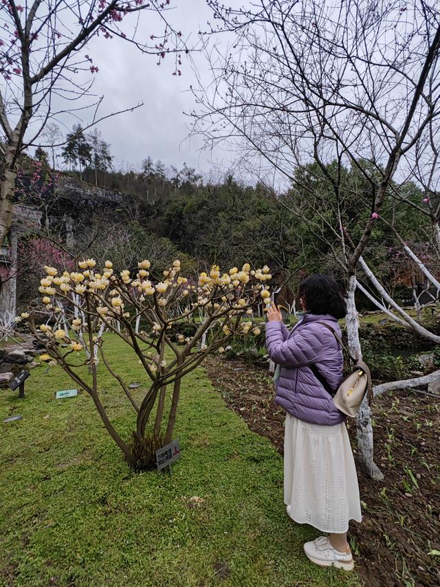 重庆酉阳桃花源，必须点赞！