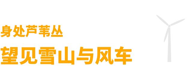 如何不“悲秋”？在乌鲁木齐 3 处湿地，放松一点