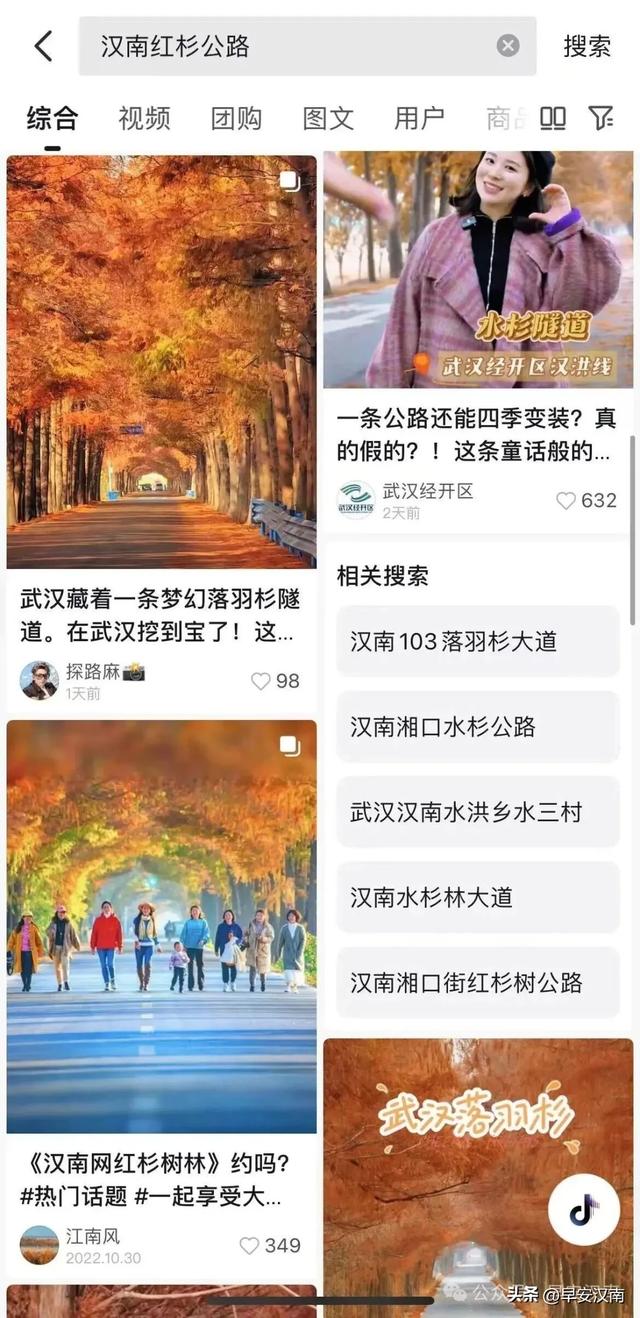 彻底火了，不是北欧是汉南！水杉隧道+落日，氛围感直接拉满！