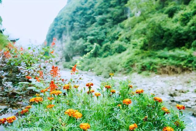 贵阳“性价比最高”的大峡谷，瀑布奇特，好多本地人都爱来？