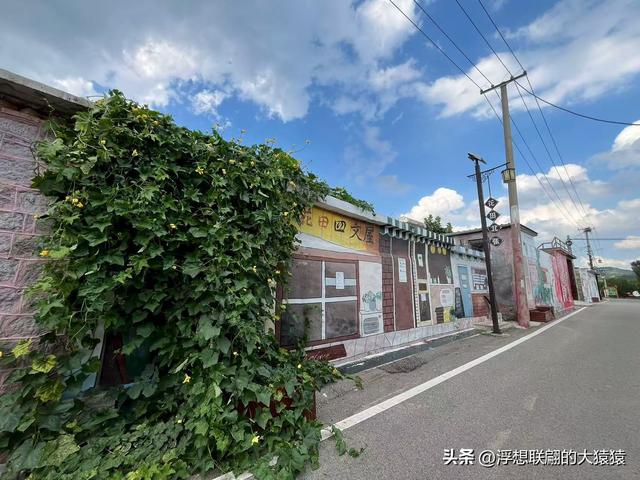 泰安道朗镇的“花田北张壁画村”，拍照很出片呢！
