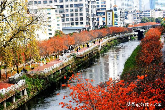 六盘水水城河道两畔初冬樱花红叶层峦叠嶂点亮城市之约