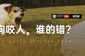 狂犬病每年杀死多少人图片