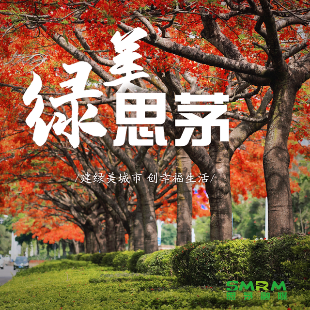 ​与格兰芬多自行车赛一起邂逅思茅！公园绿地 藏着最惬意的自然与文化之旅丨跟着赛事去旅行