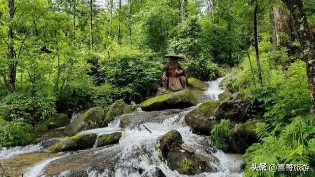 探秘森工清河林区：小兴安岭深处的绿野仙踪
