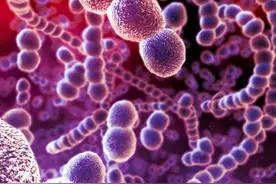 免疫力太强，身体也遭殃！郑重提醒：免疫病可致残，早治能避免图片