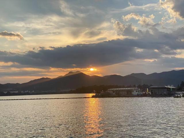 昆明草海隧道公园陷入彩霞般的芦苇海，一年最美的风景来啦