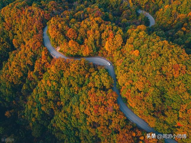 2025年赏秋去哪里？国内10条精华赏秋路线自驾地图攻略集合分享
