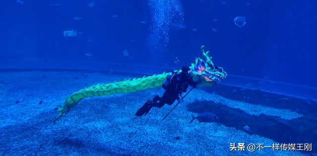 深圳国庆出游新地标！小梅沙海洋世界双园联动“海与火”狂欢模式