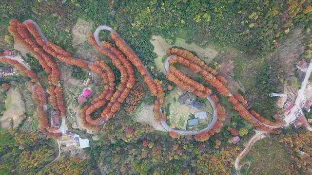 初冬时节红石梁迎来最美打卡季