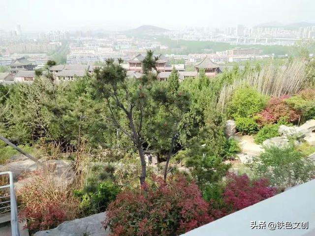 铁兵游记 | 枣庄铁道游击队纪念园和微山湖