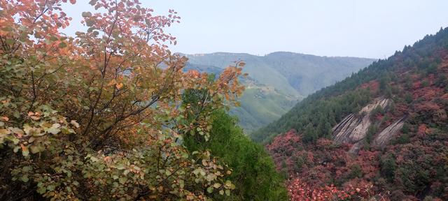 骊山红叶似火 车辆行人如织