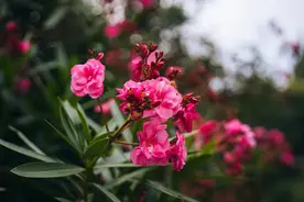 男人再缺女人也不能去碰这10种女人，她们经不起诱惑，容易迷失图片