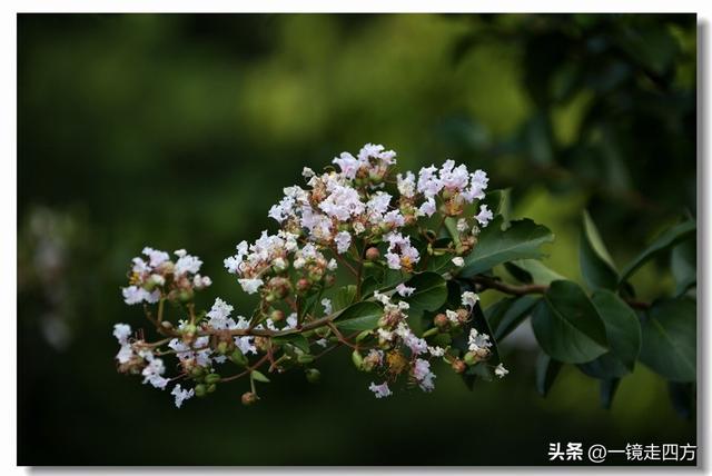 大连滨海路终点的海之韵公园