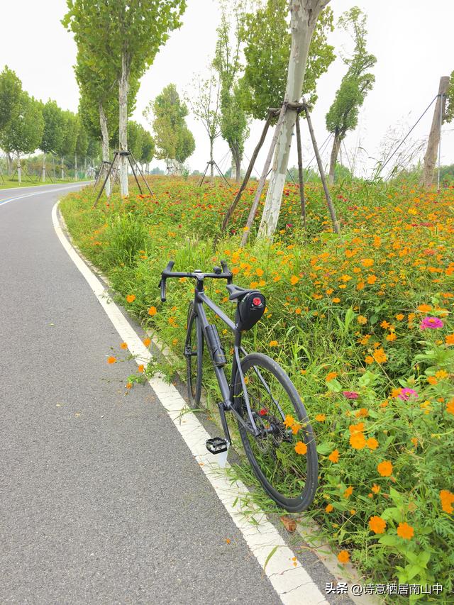 东西湖大堤绿道阻碍重重，现如何从江岸骑行到东西区大堤绿道？