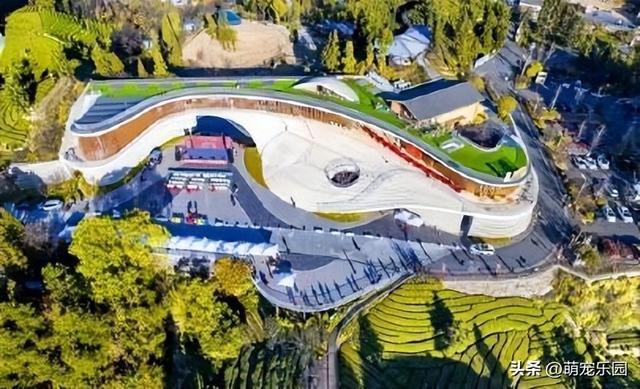 晨曦万亩茶园苏醒，摄影发烧友抢占制高点，茶旅福地美得令人心醉