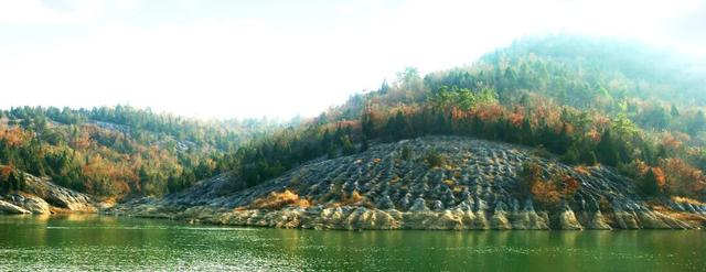 免票！半价！元旦假期随县多个景区推出优惠