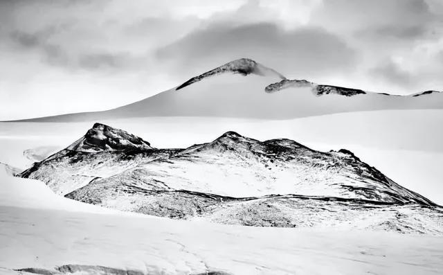 极地那曲不仅美在雪山湖泊，更美在每一棵生机盎然的树