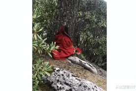 “我在山上发现了一个诡异东西，走近一看立马跑了”，哈哈哈！图片