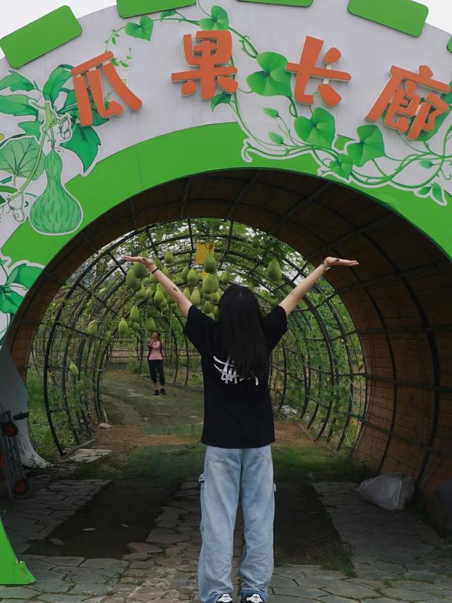 新津的秋，又美又好玩儿→