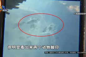 车顶有几处凹陷，他想起了那份“启事”......图片