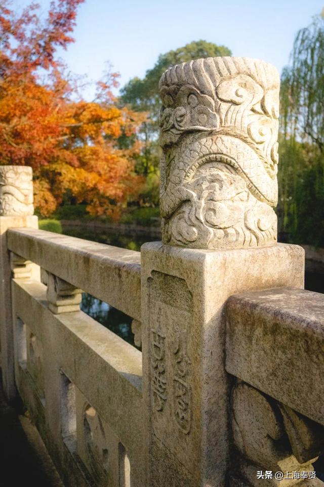 温度要降，颜值要升！古华园的秋色进入“高光时刻”，速看→