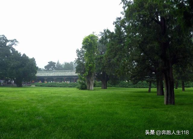 古木参天、绿草如茵，天坛景色秀