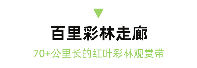 正式通车！全线免费！新挖赏秋天花板小城，绝美彩林不输九寨！地道美食50元吃爽！