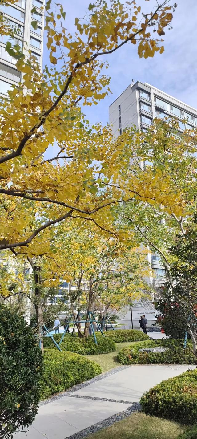 寻美薛城丨这里风景独好！美景尽收眼底，凭“颜值”出圈的社区美景！