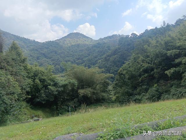 逛广东大峡谷，路过大布镇的农贸市场