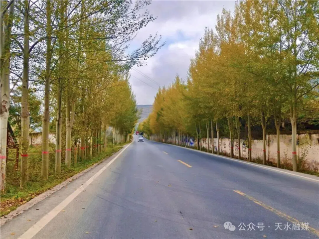 【联动宣传】这里，藏着天水最美的秋